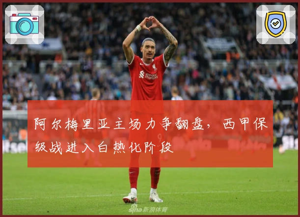 阿尔梅里亚主场力争翻盘,西甲保级战进入白热化阶段