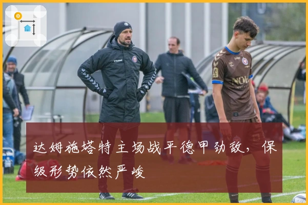 达姆施塔特主场战平德甲劲敌，保级形势依然严峻