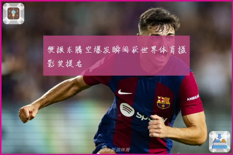 樊振东腾空爆发瞬间获世界体育摄影奖提名